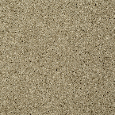 My Choice Iii Residential Carpet by Shaw Floors in the color Taffeta. Sample of beiges carpet pattern and texture.