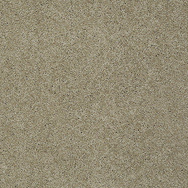 My Choice Iii Residential Carpet by Shaw Floors in the color Clay Stone. Sample of beiges carpet pattern and texture.