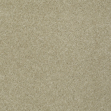 My Choice Iii Residential Carpet by Shaw Floors in the color Beach Walk. Sample of beiges carpet pattern and texture.