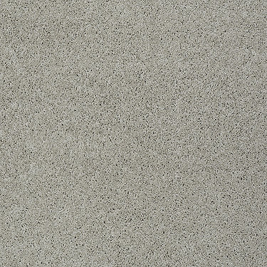 My Choice Iii Residential Carpet by Shaw Floors in the color Textured Canvas. Sample of beiges carpet pattern and texture.