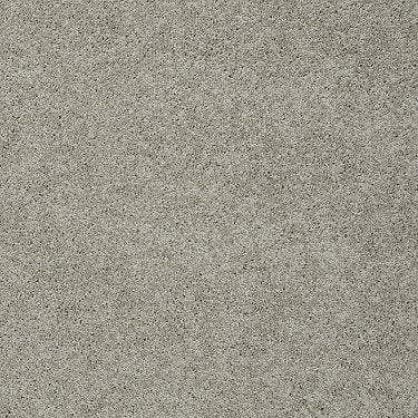 My Choice Iii Residential Carpet by Shaw Floors in the color Natural. Sample of beiges carpet pattern and texture.