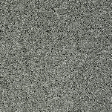 My Choice Iii Residential Carpet by Shaw Floors in the color Silver Sage. Sample of greens carpet pattern and texture.