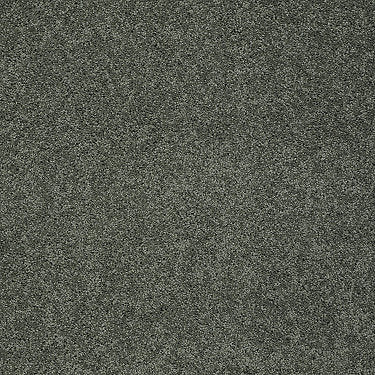 My Choice Iii Residential Carpet by Shaw Floors in the color Bay Laurel. Sample of greens carpet pattern and texture.