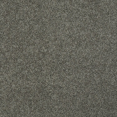 My Choice Iii Residential Carpet by Shaw Floors in the color Grey Flannel. Sample of grays carpet pattern and texture.