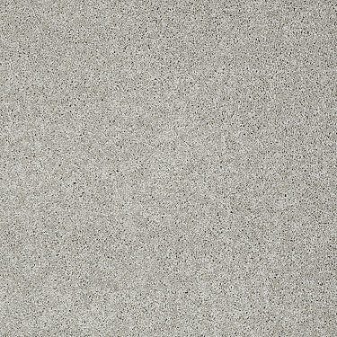 My Choice Iii Residential Carpet by Shaw Floors in the color Ash. Sample of grays carpet pattern and texture.