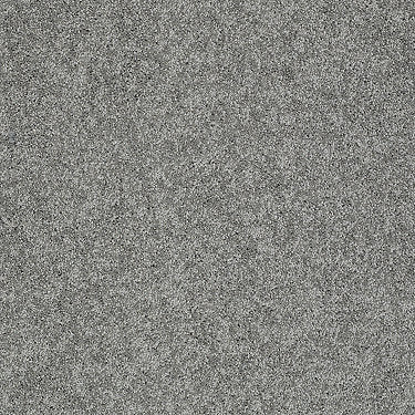 My Choice Iii Residential Carpet by Shaw Floors in the color Charcoal. Sample of grays carpet pattern and texture.