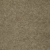 My Choice Iii Residential Carpet by Shaw Floors in the color Twig. Sample of browns carpet pattern and texture.