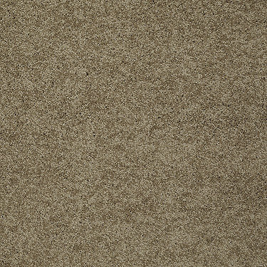 My Choice Iii Residential Carpet by Shaw Floors in the color Twig. Sample of browns carpet pattern and texture.