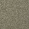 My Choice Iii Residential Carpet by Shaw Floors in the color Smooth Slate. Sample of browns carpet pattern and texture.