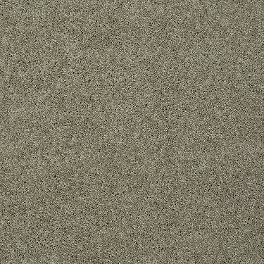 My Choice Iii Residential Carpet by Shaw Floors in the color Smooth Slate. Sample of browns carpet pattern and texture.