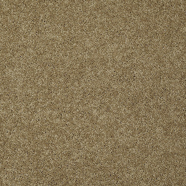 My Choice Iii Residential Carpet by Shaw Floors in the color Honey Pot. Sample of browns carpet pattern and texture.