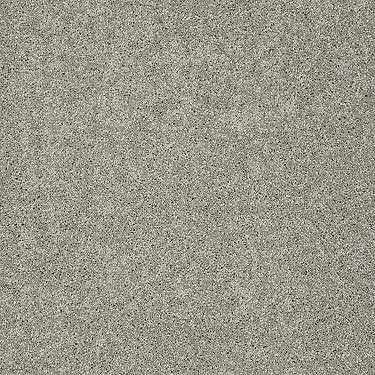 My Choice Iii Residential Carpet by Shaw Floors in the color Rocky Coast. Sample of browns carpet pattern and texture.