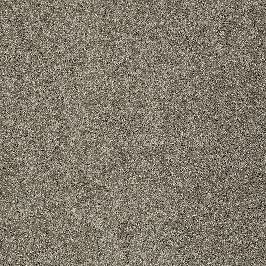 My Choice Iii Residential Carpet by Shaw Floors in the color Flax. Sample of browns carpet pattern and texture.