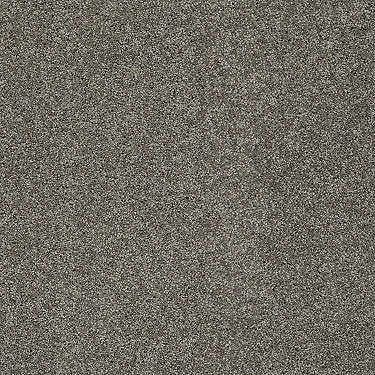 My Choice Iii Residential Carpet by Shaw Floors in the color Rustic Elegance. Sample of browns carpet pattern and texture.