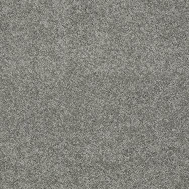 My Choice Iii Residential Carpet by Shaw Floors in the color Fog. Sample of browns carpet pattern and texture.