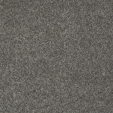 My Choice Iii Residential Carpet by Shaw Floors in the color Graphite. Sample of browns carpet pattern and texture.