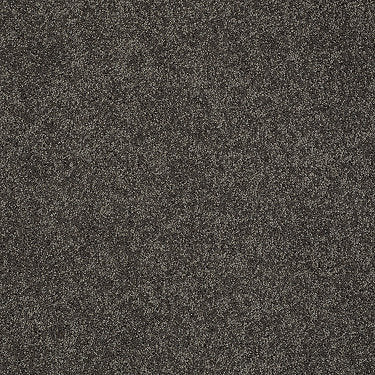 My Choice Iii Residential Carpet by Shaw Floors in the color Vintage Leather. Sample of browns carpet pattern and texture.