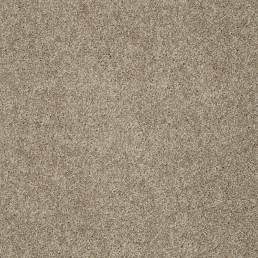 My Choice Iii Residential Carpet by Shaw Floors in the color Cappuccino. Sample of browns carpet pattern and texture.