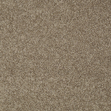 My Choice Iii Residential Carpet by Shaw Floors in the color Saffron. Sample of browns carpet pattern and texture.