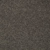 My Choice Iii Residential Carpet by Shaw Floors in the color Chocolate. Sample of browns carpet pattern and texture.