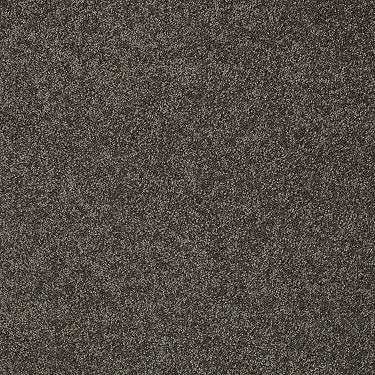 My Choice Iii Residential Carpet by Shaw Floors in the color Chocolate. Sample of browns carpet pattern and texture.