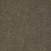 My Choice Iii Residential Carpet by Shaw Floors in the color Weathered Wood. Sample of browns carpet pattern and texture.