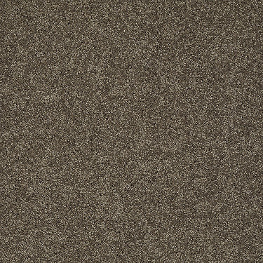 My Choice Iii Residential Carpet by Shaw Floors in the color Weathered Wood. Sample of browns carpet pattern and texture.