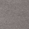 My Choice Iii Residential Carpet by Shaw Floors in the color Sepia. Sample of violets carpet pattern and texture.