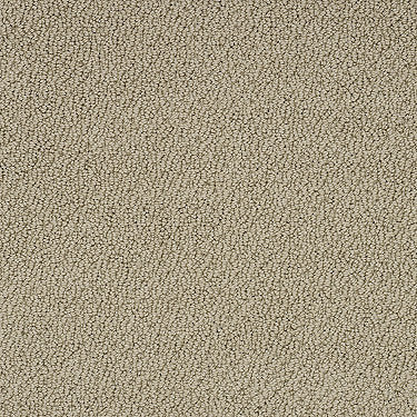 Truly Relaxed Loop Residential Carpet by Shaw Floors in the color Taffeta. Sample of beiges carpet pattern and texture.