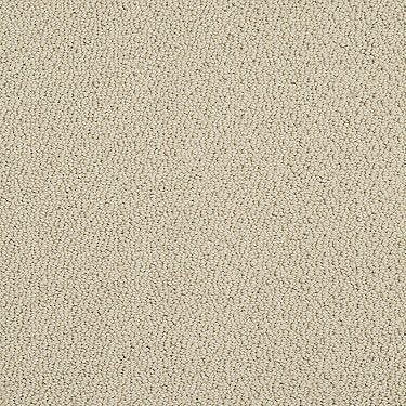 Truly Relaxed Loop Residential Carpet by Shaw Floors in the color Beach Walk. Sample of beiges carpet pattern and texture.