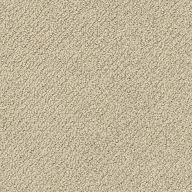 Truly Relaxed Loop Residential Carpet by Shaw Floors in the color Latt√Â. Sample of beiges carpet pattern and texture.