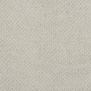 Truly Relaxed Loop Residential Carpet by Shaw Floors in the color Natural. Sample of beiges carpet pattern and texture.