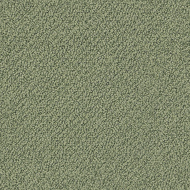 Truly Relaxed Loop Residential Carpet by Shaw Floors in the color Bay Laurel. Sample of greens carpet pattern and texture.