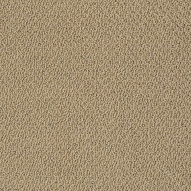 Truly Relaxed Loop Residential Carpet by Shaw Floors in the color Honey Pot. Sample of browns carpet pattern and texture.