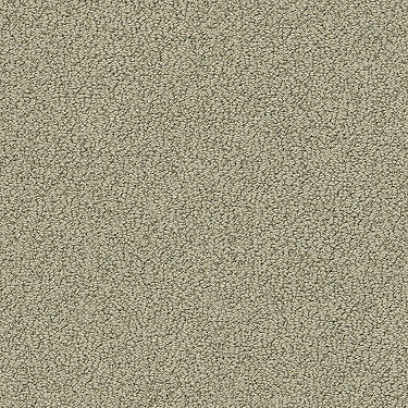 Truly Relaxed Loop Residential Carpet by Shaw Floors in the color Rocky Coast. Sample of browns carpet pattern and texture.