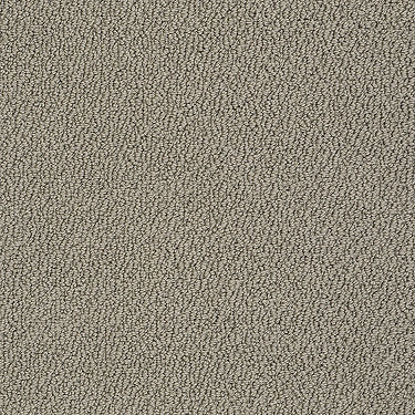 Truly Relaxed Loop Residential Carpet by Shaw Floors in the color Flax. Sample of browns carpet pattern and texture.