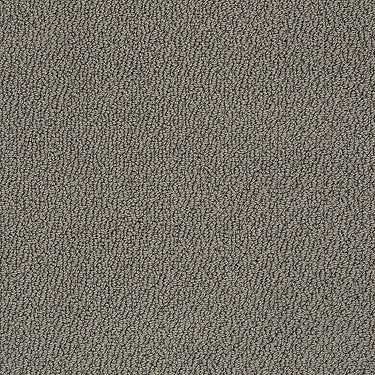 Truly Relaxed Loop Residential Carpet by Shaw Floors in the color Graphite. Sample of browns carpet pattern and texture.