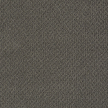 Truly Relaxed Loop Residential Carpet by Shaw Floors in the color Vintage Leather. Sample of browns carpet pattern and texture.