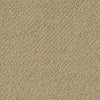 Truly Relaxed Loop Residential Carpet by Shaw Floors in the color Cappuccino. Sample of browns carpet pattern and texture.