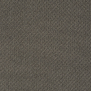 Truly Relaxed Loop Residential Carpet by Shaw Floors in the color Chocolate. Sample of browns carpet pattern and texture.