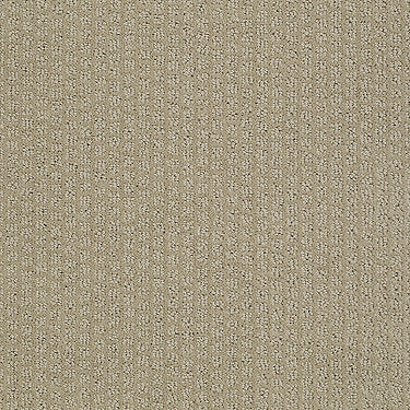 Pacific Trails Residential Carpet by Shaw Floors in the color Mushroom. Sample of browns carpet pattern and texture.