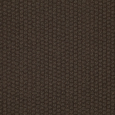 Pacific Trails Residential Carpet by Shaw Floors in the color Mocha Chip. Sample of browns carpet pattern and texture.