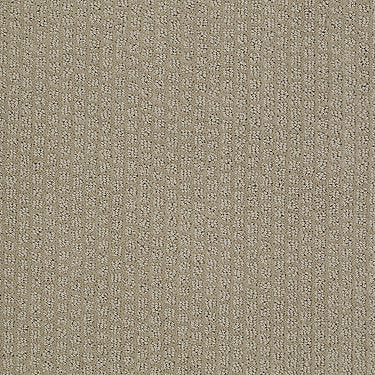 Pacific Trails Residential Carpet by Shaw Floors in the color Hiking Trail. Sample of browns carpet pattern and texture.