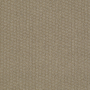 Pacific Trails Residential Carpet by Shaw Floors in the color Sable. Sample of browns carpet pattern and texture.