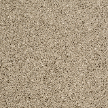 Origins Ii Residential Carpet by Shaw Floors in the color Dunes. Sample of beiges carpet pattern and texture.