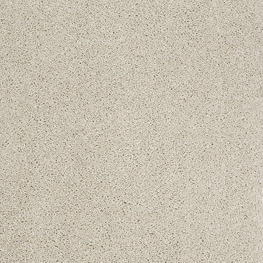 Origins Ii Residential Carpet by Shaw Floors in the color Canvas. Sample of beiges carpet pattern and texture.