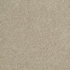 Origins Ii Residential Carpet by Shaw Floors in the color Frost. Sample of beiges carpet pattern and texture.