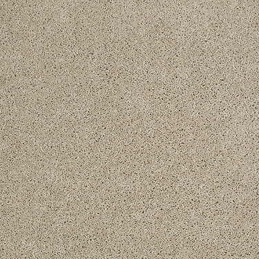 Origins Ii Residential Carpet by Shaw Floors in the color Frost. Sample of beiges carpet pattern and texture.