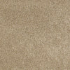 Origins Ii Residential Carpet by Shaw Floors in the color Almond Tone. Sample of beiges carpet pattern and texture.