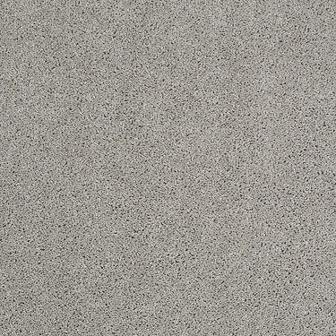 Origins Ii Residential Carpet by Shaw Floors in the color Sea Salt. Sample of grays carpet pattern and texture.